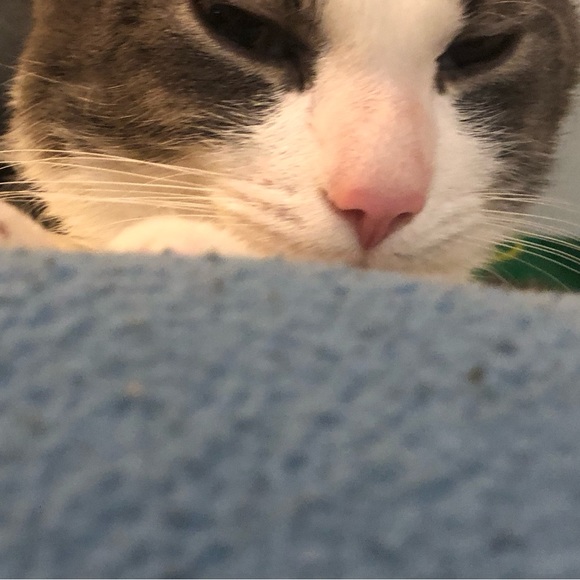 Meet Your Posher’s Posse- - Picture 4 of 12